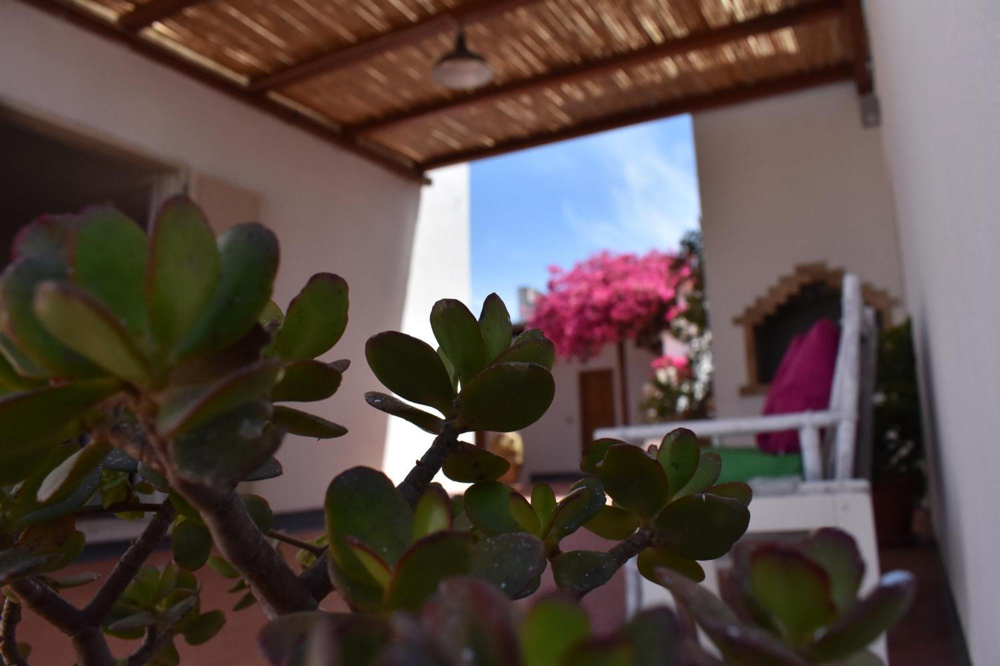 B&B Casabianca Palinuro Exteriör bild